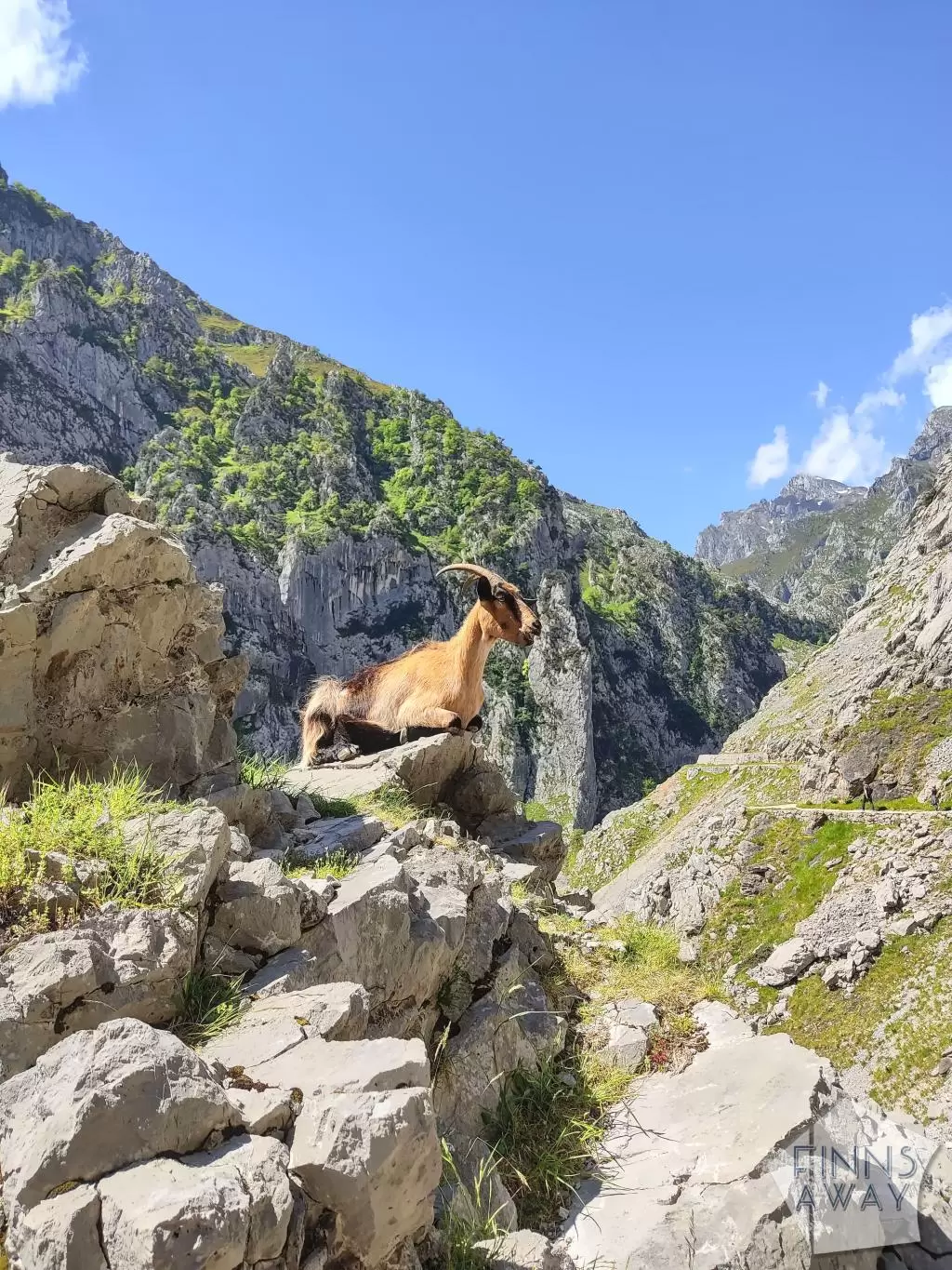Ruta del Cares patikkareitti, Picos de Europa | Road trip Pohjois-Espanjassa | InTravel Blogi
