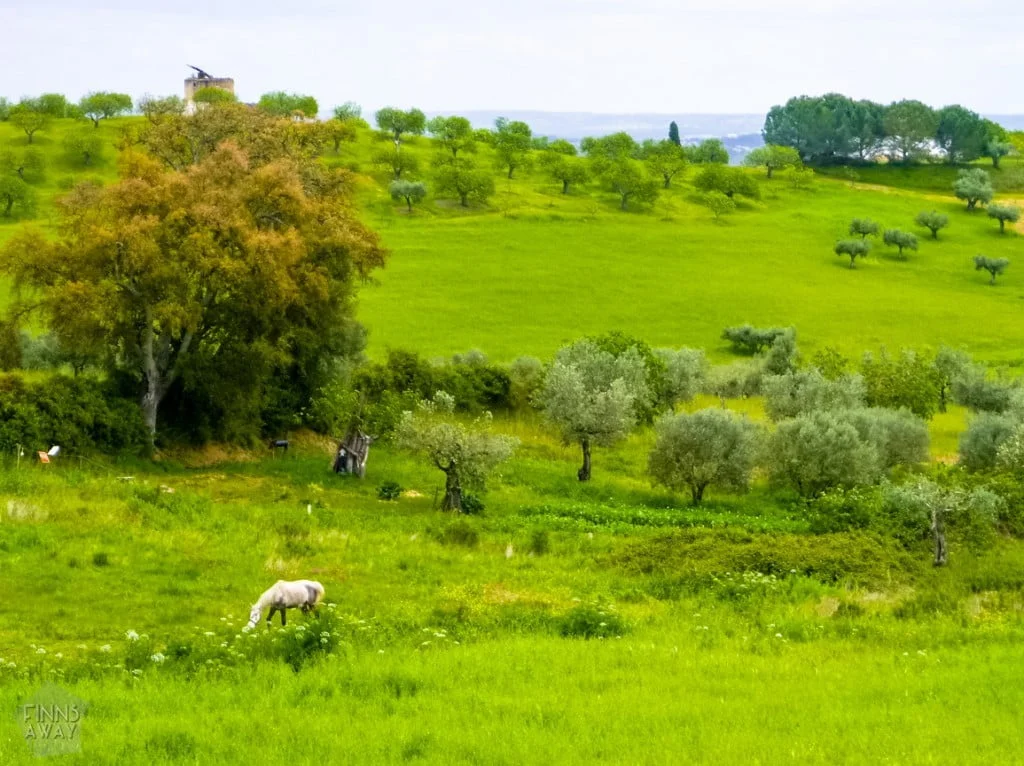 Portugalin maaseudulla | InTravel blogi