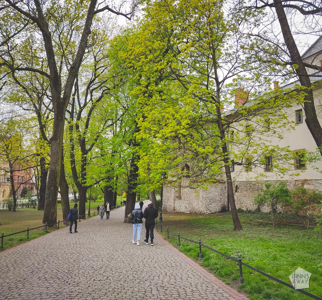 Puistokatu Krakovassa | InTravel blogi