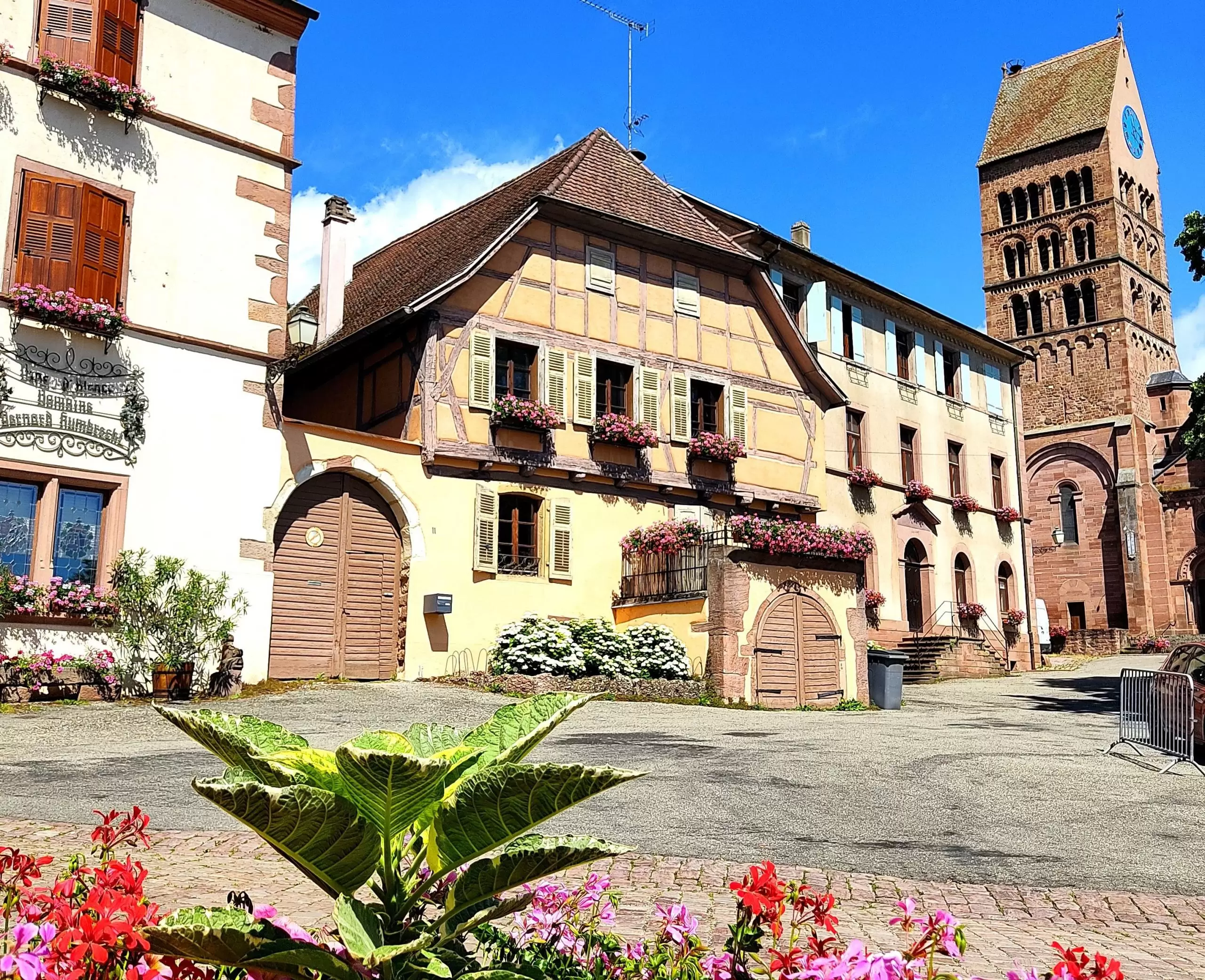 InTravel - Espanjasta Ranskan ja Saksan kautta Suomeen kesäkuussa 2021 Gueberschwihr, Alsace, Ranska | InTravel blogi