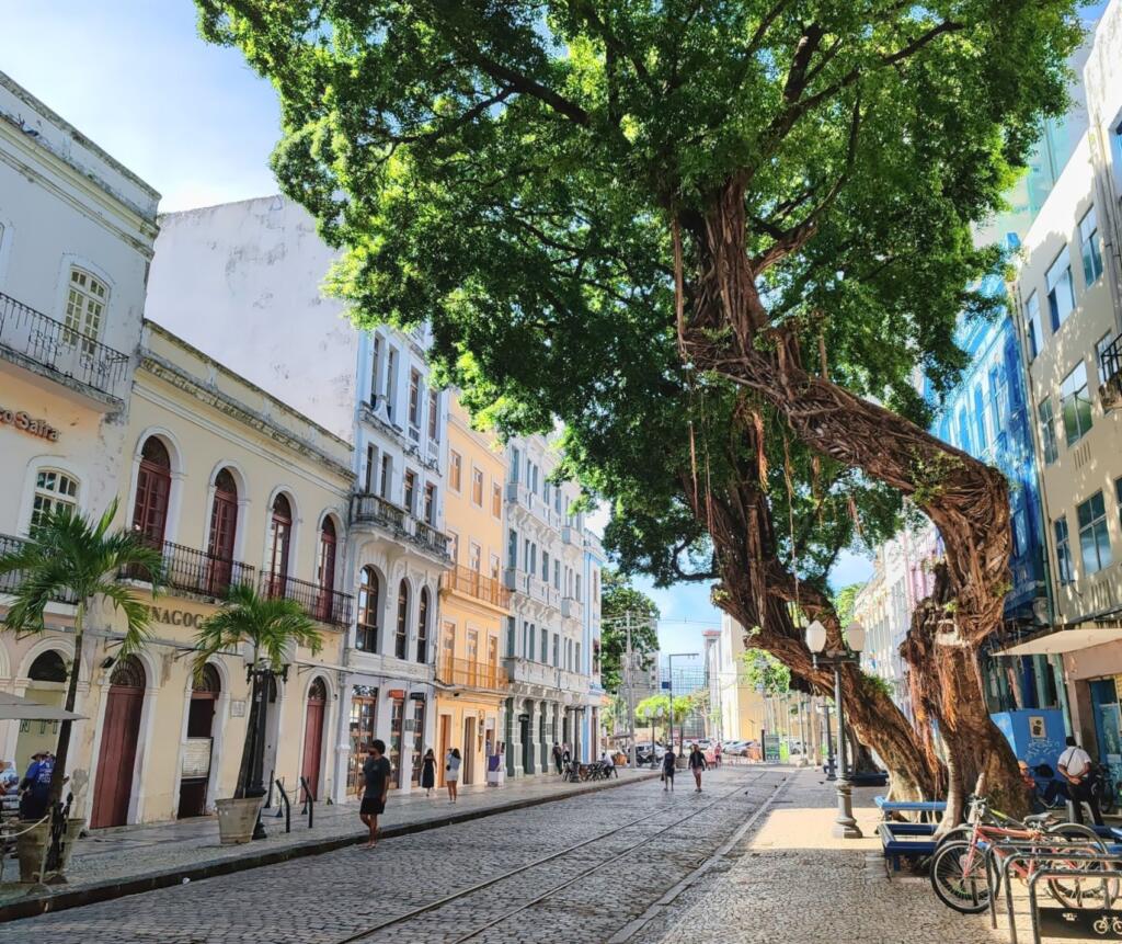 InTravel - Kaupunkikulttuuria, historiaa ja rantoja Brasilian Belémissä, Reficessa ja Salvadorissa Rua do Bom Jesus, Recife | Brasilian Belém, Refice ja Salvador | InTravel blogi