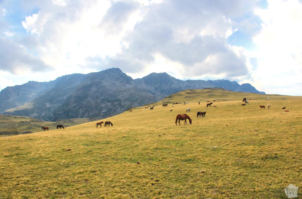 Hevoslauma vuoristolaaksossa | Vaellus Bulgarian Rila-vuorilla ja Rilan luostari | InTravel blogi