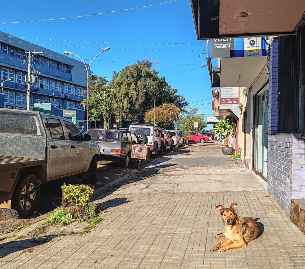 InTravel - Uruguay: Colonia del Sacramento, Montevideo ja Rivera Katumaisema | Rivera | Uruguay | InTravel blogi