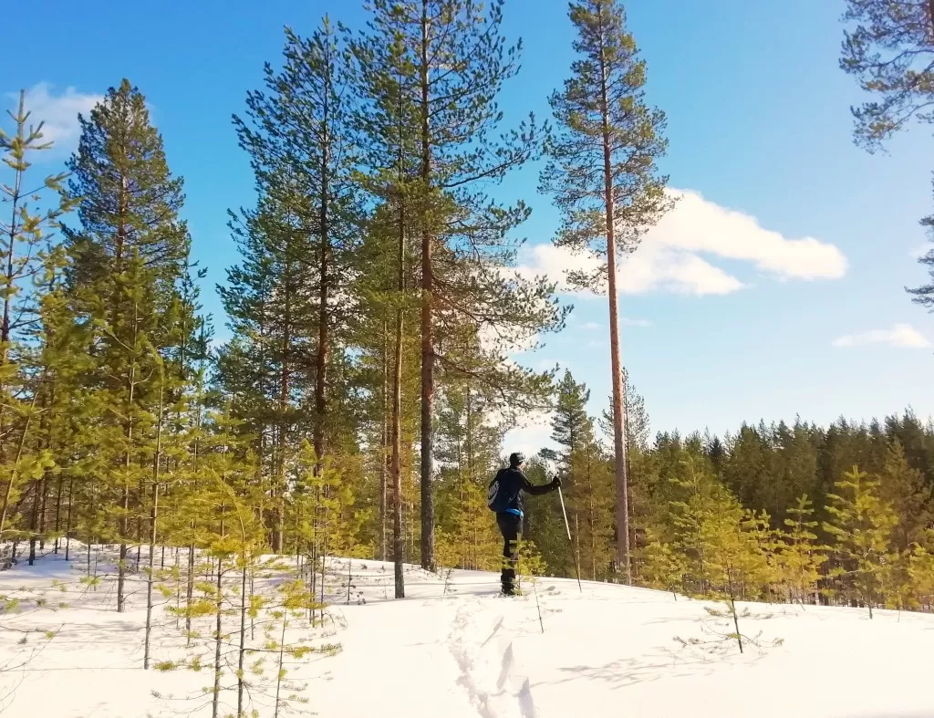 Lumikenkäilyä Rokuan kansallispuistossa | InTravel blogi