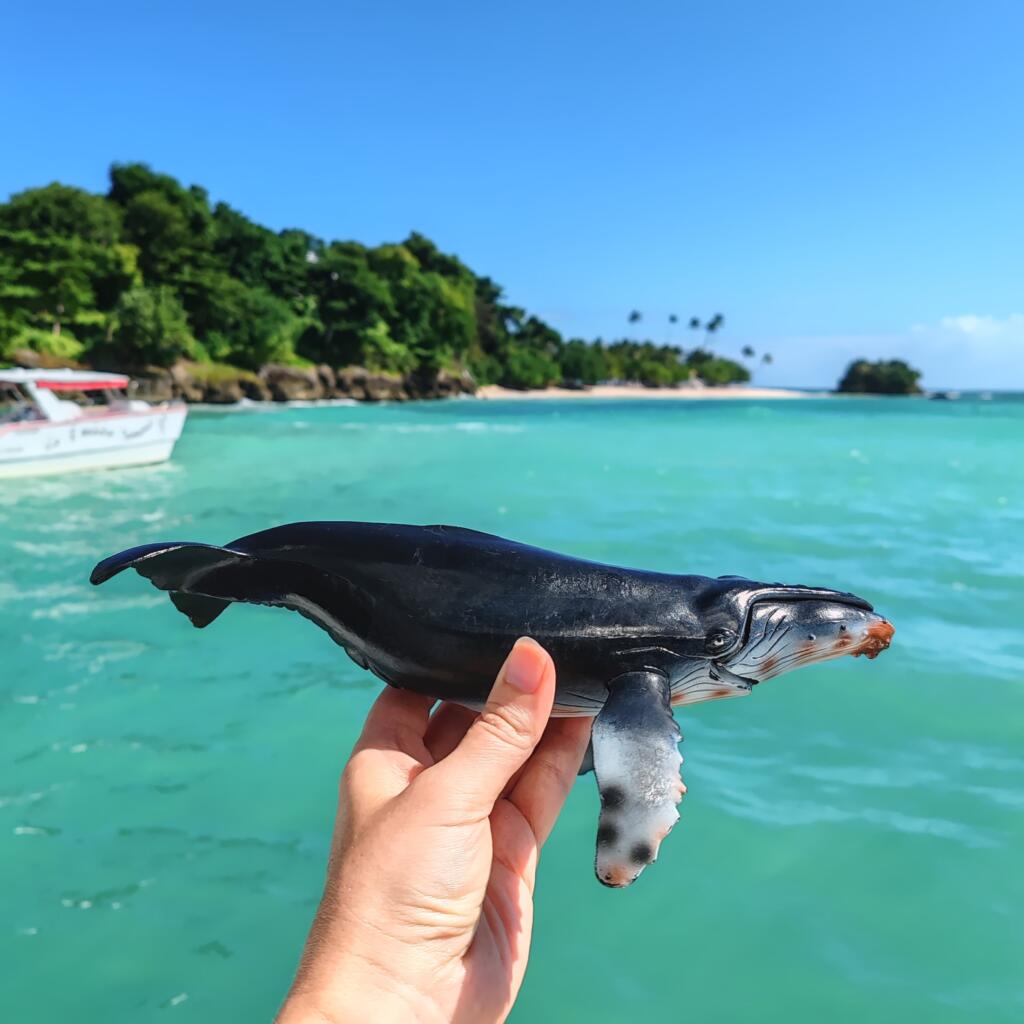 InTravel - Dominikaaninen tasavalta; Boca Chica, Las Terrenas ja Samana Valasretkellä Samanassa | Dominikaaninen tasavalta; Boca Chica ja Samanan niemimaa | InTravel blogi