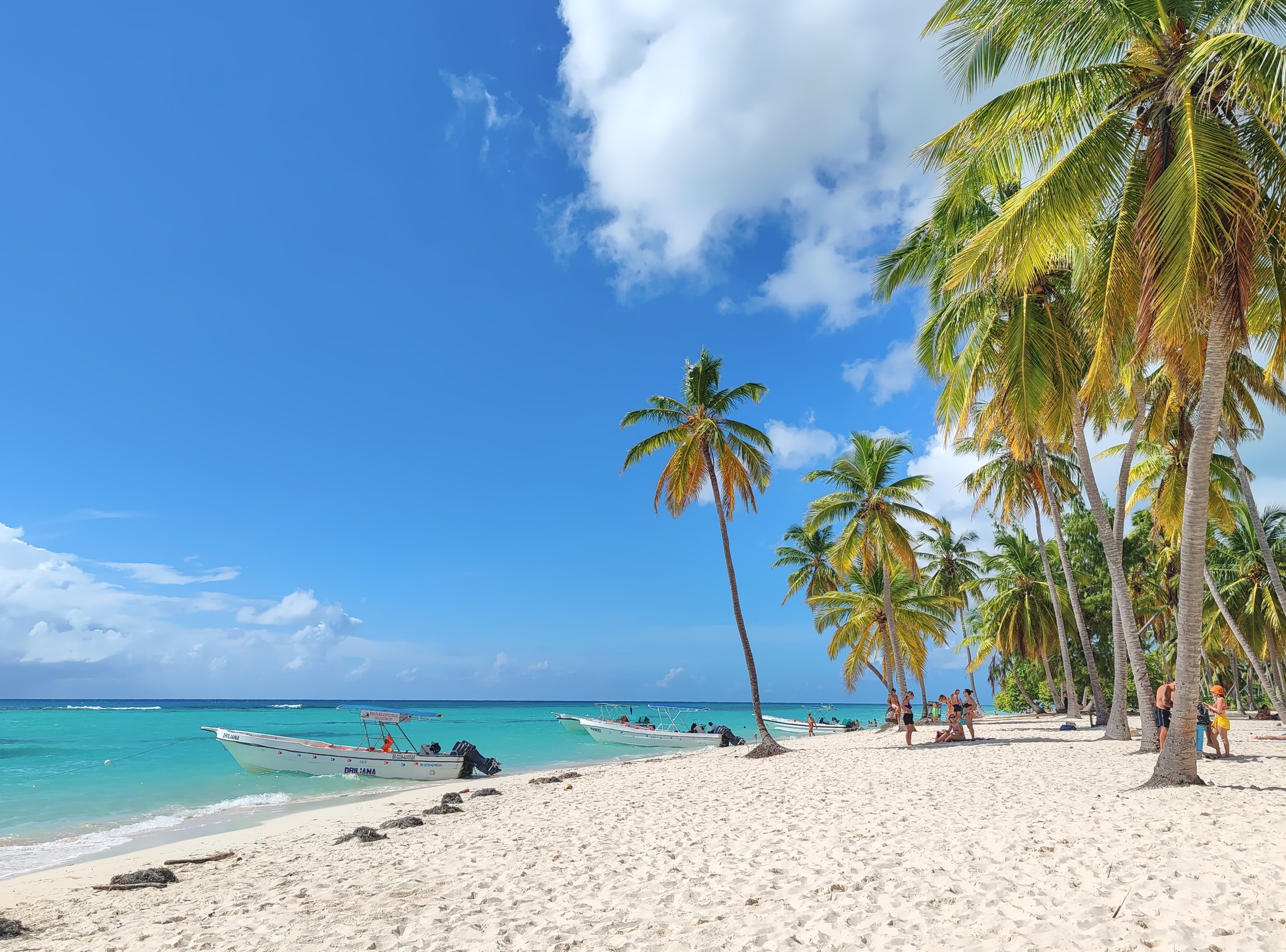 InTravel - Dominikaaninen tasavalta; Bayahibe ja Isla Saona Isla Saona | Dominikaaninen tasavalta | Karibia | InTravel