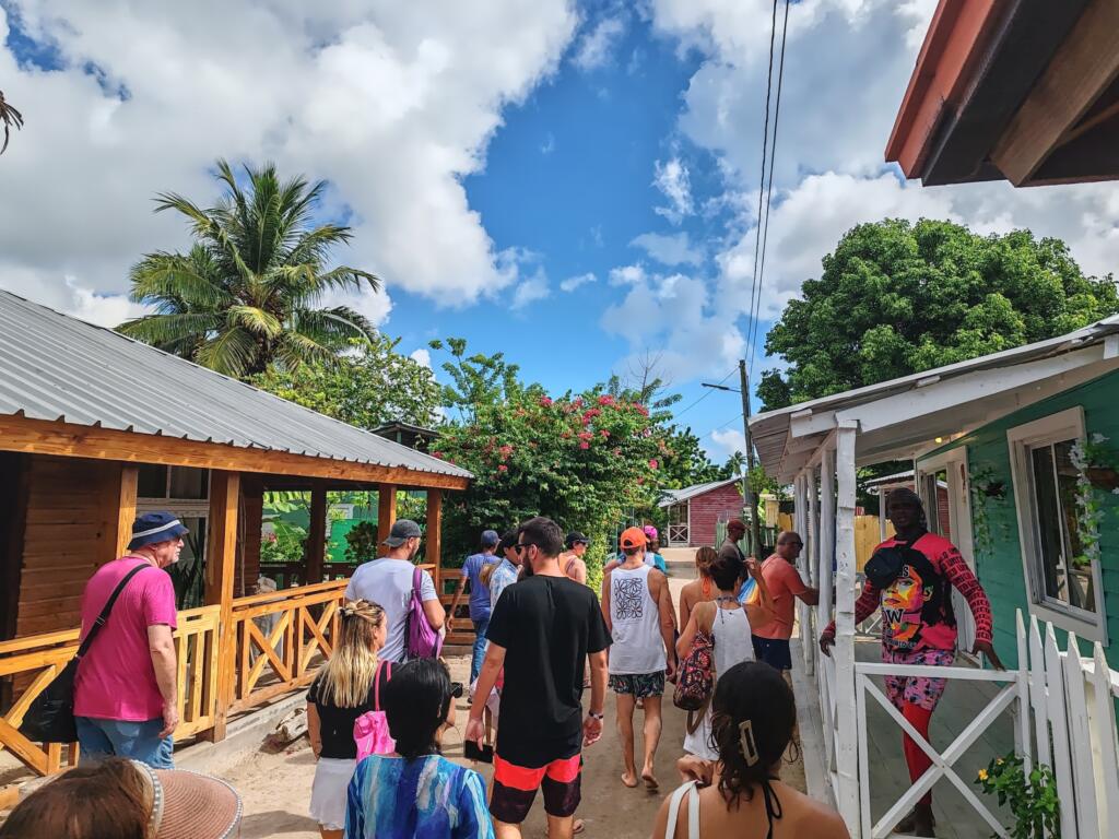 Isla Saona | Dominikaaninen tasavalta | InTravel