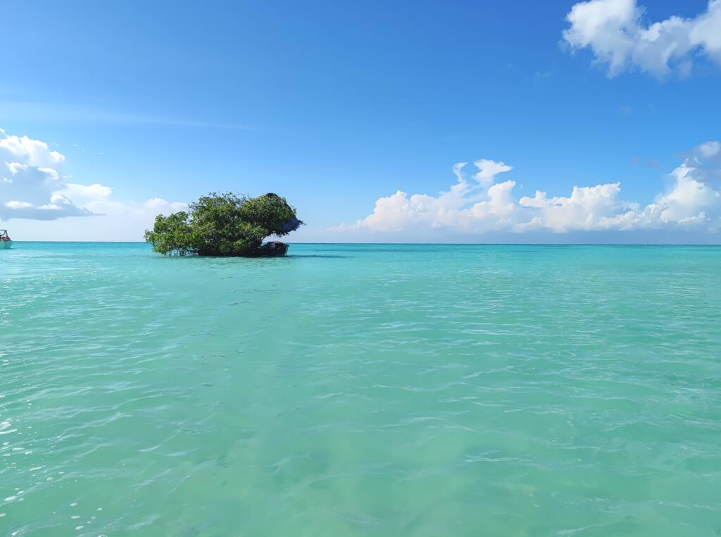 Isla Saona | Dominikaaninen tasavalta | InTravel