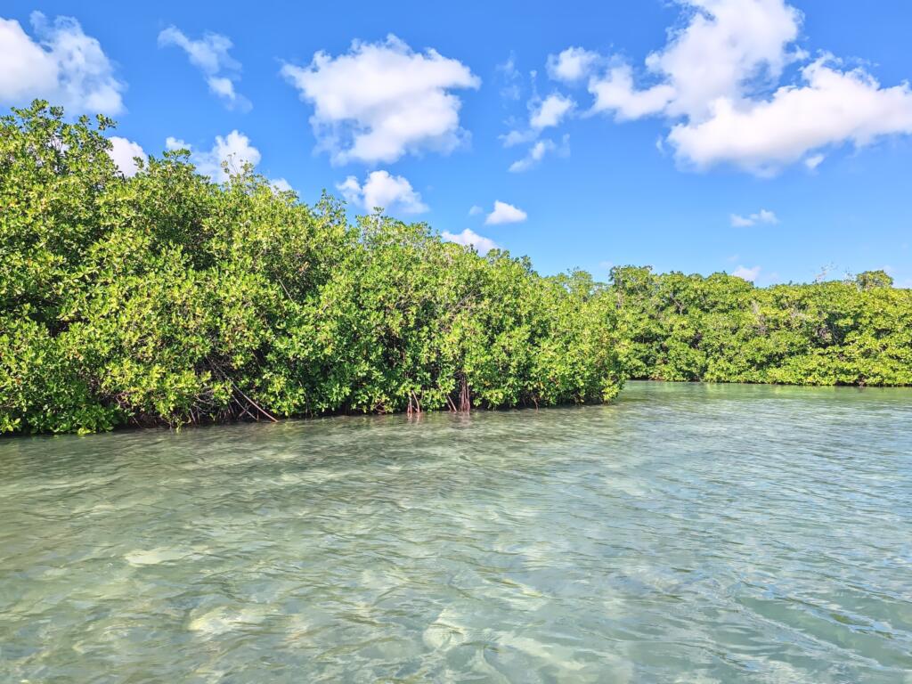 Isla Saona | Dominikaaninen tasavalta | InTravel