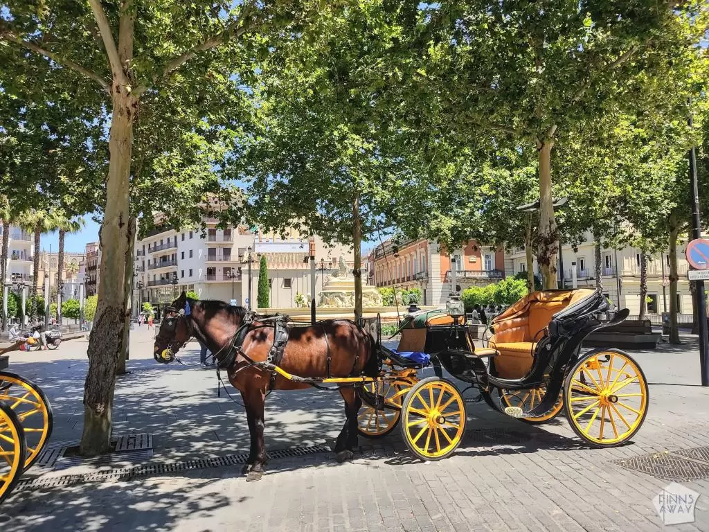 Hevoskärryt | Sevilla, Andalusia, Espanja | InTravel blogi