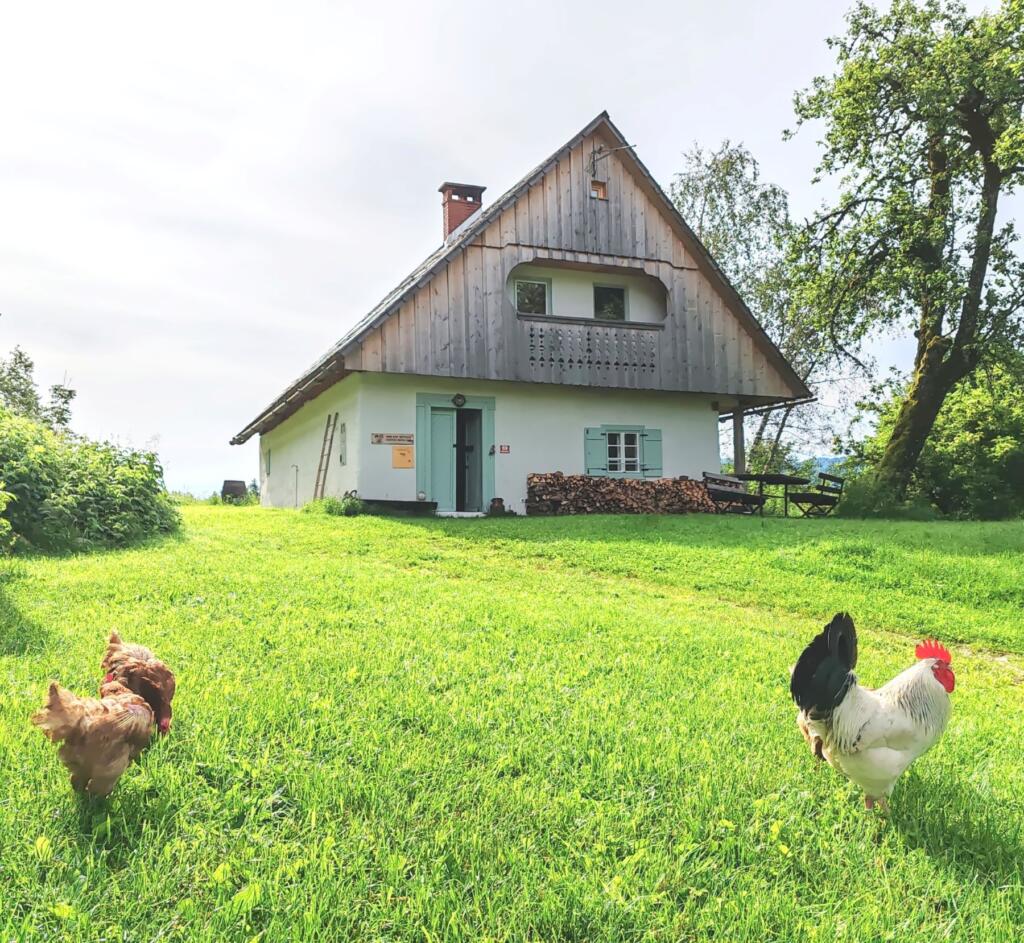 Kanoja ja vuoristotalo Bohinjilla Sloveniassa | InTravel