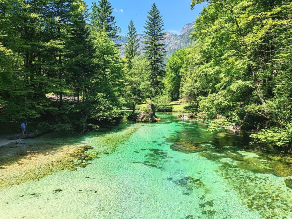 Bohinj-järveen laskeva turkoosi joki, Slovenia | InTravel