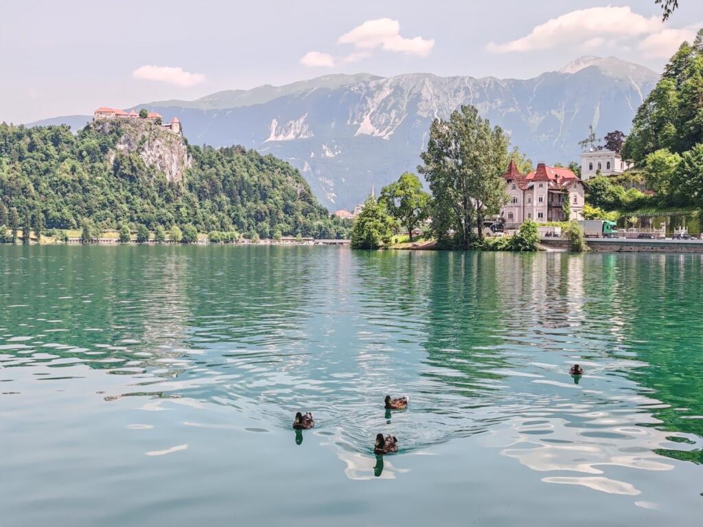 Bled-järvi, Slovenia | InTravel