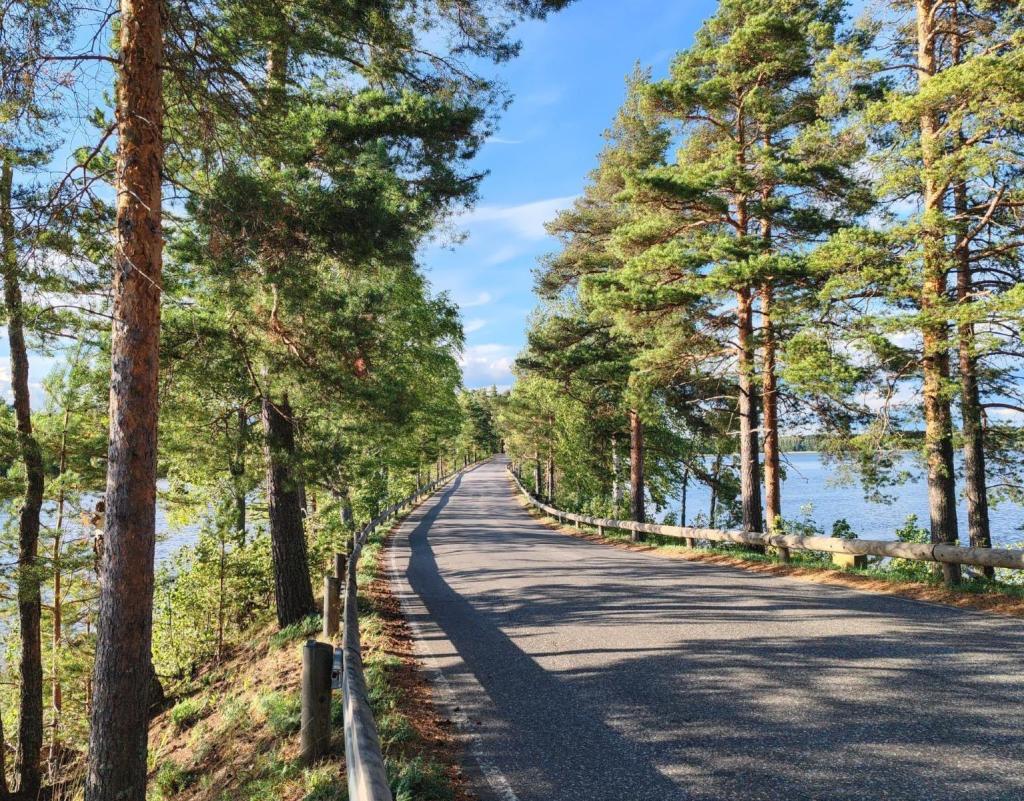 Punkaharjun Harjutie | Kesäturistina Suomessa ja automatka halki Itä-Euroopan | InTravel