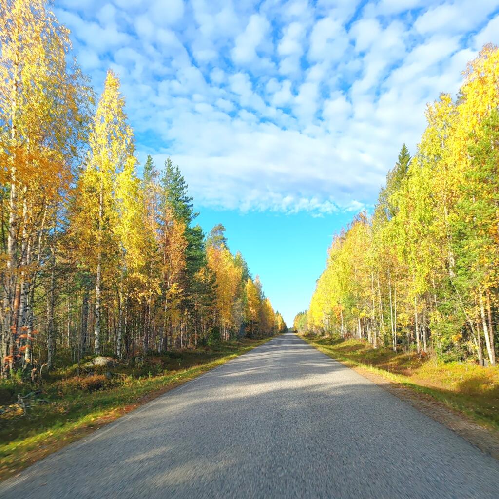 Road trip halki syksyisen Suomen | InTravel