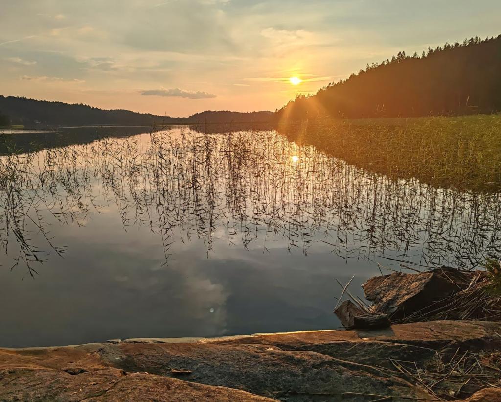 Auringonlasku Svartedalensin | Ruotsi | Autolla Euroopassa: Ranskasta Suomeen Norjan kautta | InTravelluonnonsuojelualueella