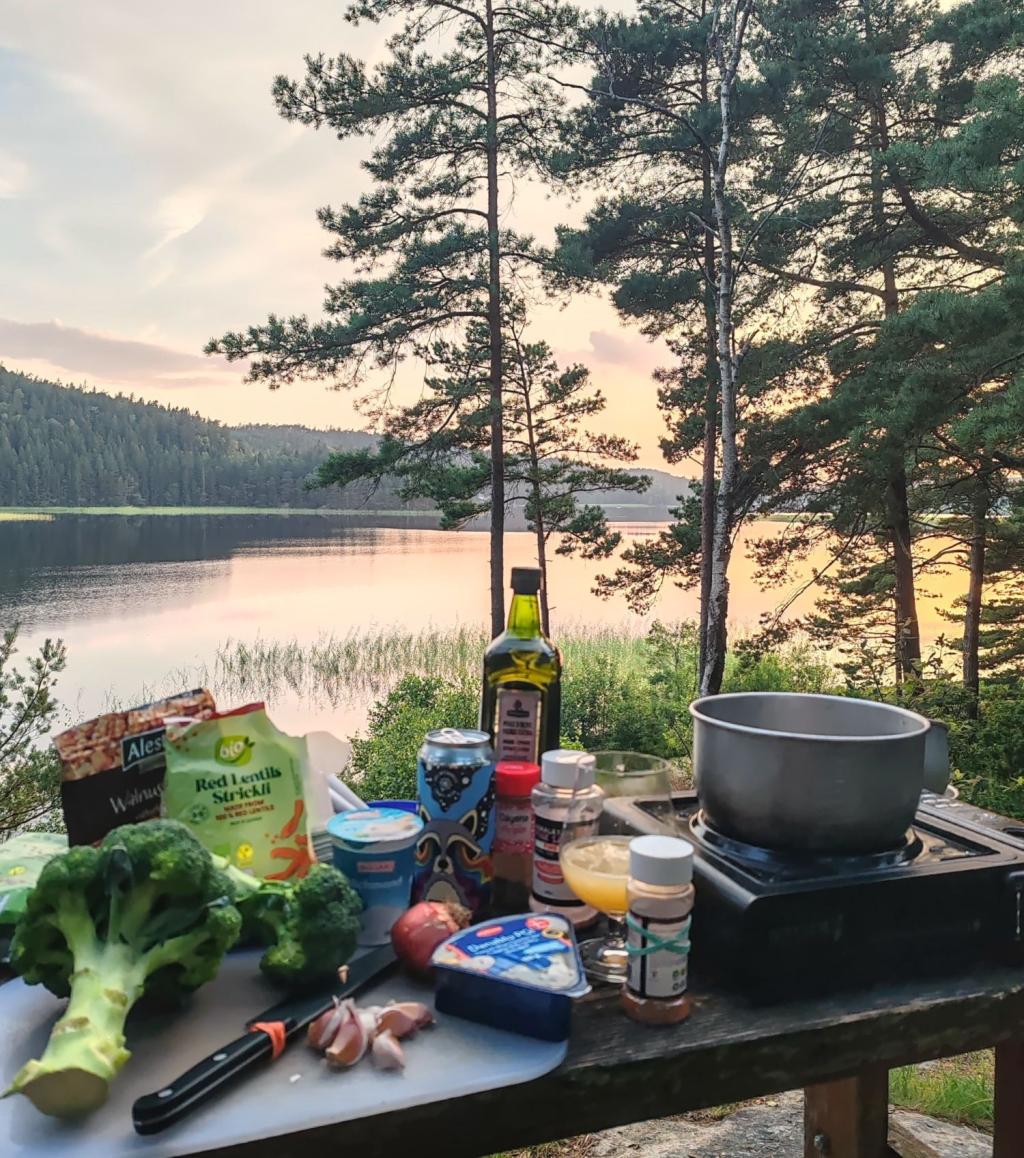 Camping kokkausta järven rannalla | Ruotsi | Autolla Euroopassa: Ranskasta Suomeen Norjan kautta | InTravel