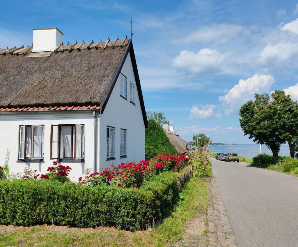 Lenkkimaisema Taarbækissa | Tanska | Autolla Euroopassa: Ranskasta Suomeen Norjan kautta | InTravel