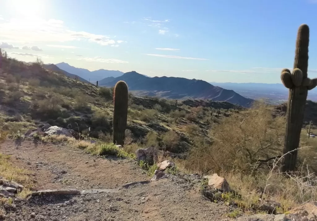 Kaktuksia ja polkuja South Mountain Parkissa, Phoenix | InTravel blogi