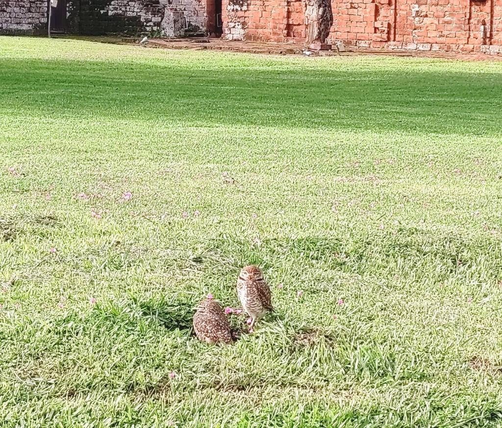 La Misión de la Santísima Trinidad de Paraná, Trinidad | Paraguay | InTravel matkablogi