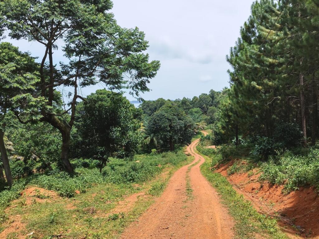 Hiekkatie ja maisema Ssese-saarilla Ugandassa | Matkamuistoja Ugandasta ja Ruandasta | InTravel blogi