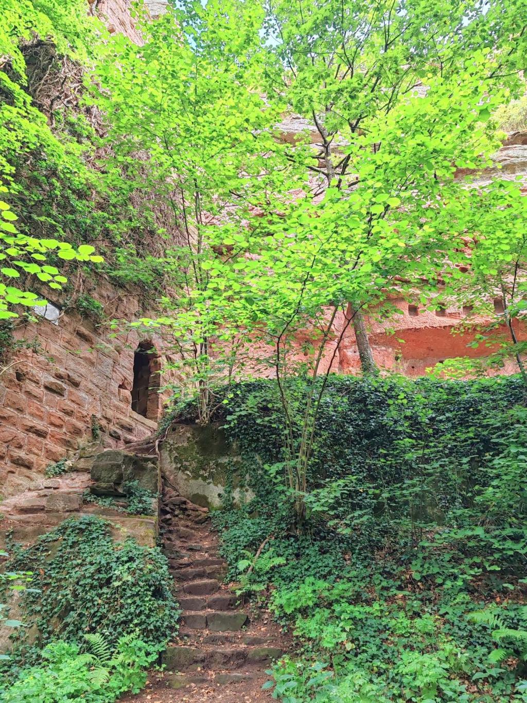 Vieux-Windstein castle ruin, Vosges du Nord, Alsace | Ranska | Autolla Euroopassa: Ranskasta Suomeen Norjan kautta | InTravel